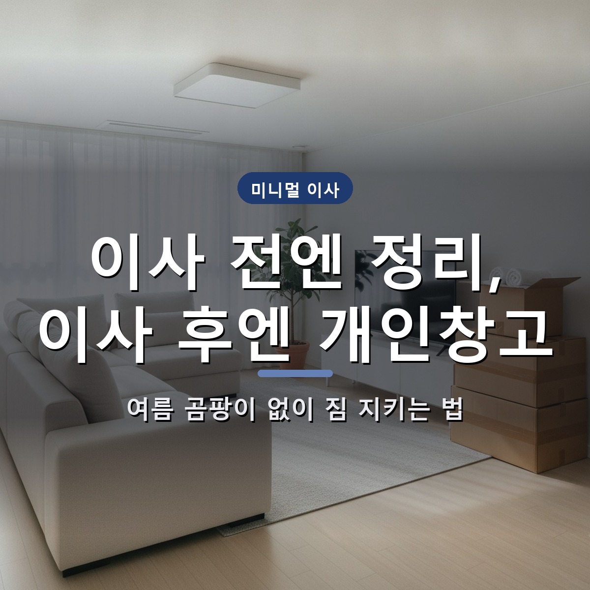 Moving in Korea: How to Declutter Before Your Move and Avoid Summer Mold After 1 Moving day storage in Korea — SPACETIME personal storage